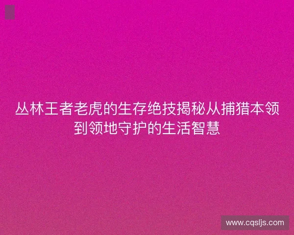 丛林王者老虎的生存绝技揭秘从捕猎本领到领地守护的生活智慧